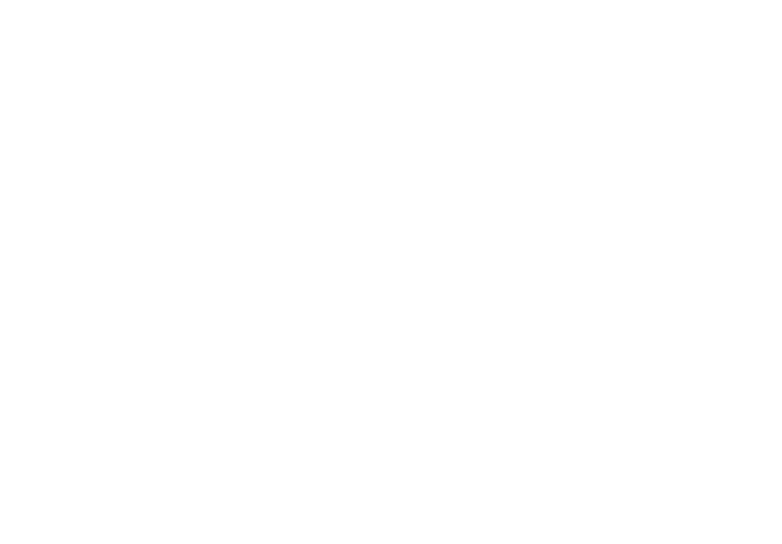 Rocca Sinibalda plan